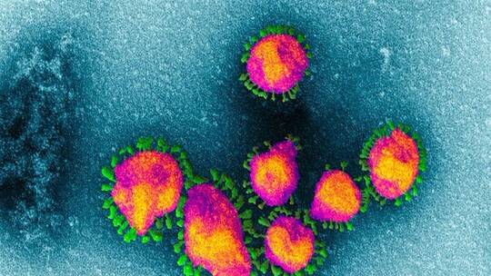 5e6c8f204236047c2b673ef2