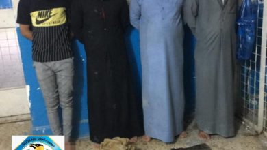 القاء القبض على عدد من مثيري النزاعات العشائرية في البصرة 2 706456503eaac7fa6fb9d827371f410c 1