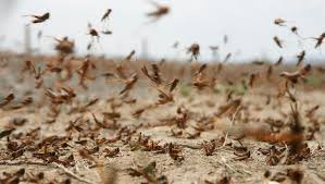 757EC247 71EF 4D36 AC76 93239AEA2270