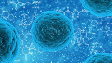 78 022934 aging cancer 700x400