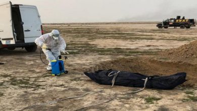 7AADC69A E066 40AF B0D4 559C60E53617