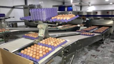 7AD982BC 897E 4961 A926 EE8907CCA8E9