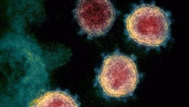 8539FF3A DE85 4E9B 8A1F BD5A8F960B8E