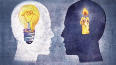 86C69651 114E 4273 81BB 82828DAA48B3