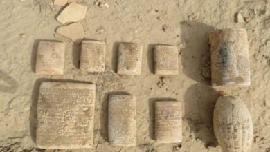 90841058 819C 417C 81C8 83D0C737CA80