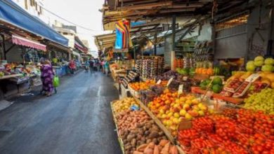 9092AA4D 69B4 427F 89FB D0A900A6622B