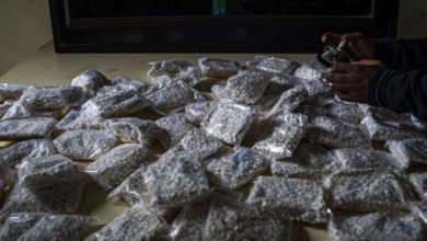 9A4B8488 CC98 4B65 91B8 101E0D65200C