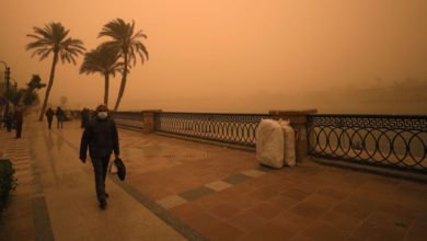 9B561E62 0BCD 4218 9154 74D4073B7393