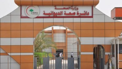 A3B7A55B 532B 426F B4FA 9C1D320214E3