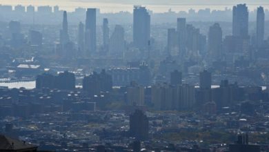 B34BF20B 994C 4D0A BD66 90CF728FAEC3