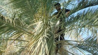 B3DFAD7B 09E2 4FF2 AF35 973385594000