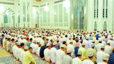 B5F98E8F E38D 4FF8 A0A2 B45117C28918