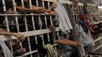 BB514782 C0CF 476C B468 88EA52F11A9A