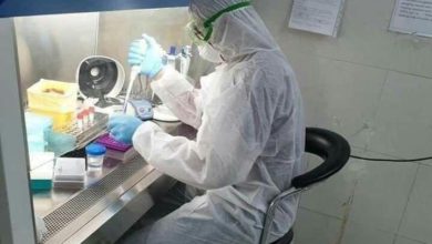 BB755E9A EB4E 4E2E 9EE1 4063D9C31F8C