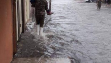 C2A98E54 0F60 4DA2 A882 0DF3D3A9A5F7