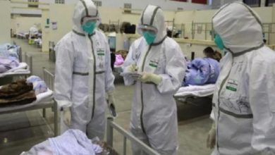 C561B01D F037 45AA B44A 82A61BD56272