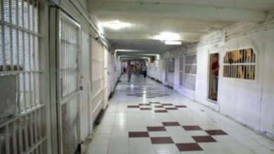 CA4393CC 1D99 40FE BDBF DFB67A53755C