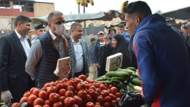 CF7CE52B 910F 45A7 AFD0 F1DFCF7C4613