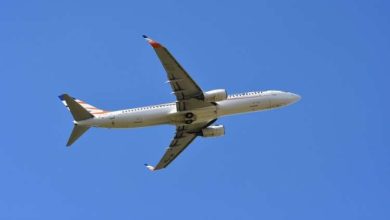 D1B6CEC8 8BFE 469F B1F9 883E615ADEEC