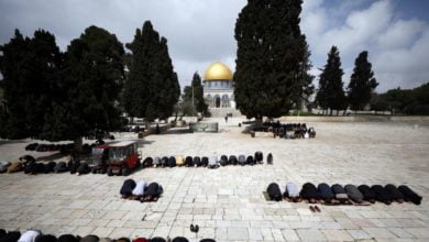 D2571A19 95F9 492F 9F74 FBA94BFF9D29