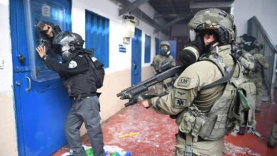 E47C750A 969A 4982 972E 4704EF9A7049