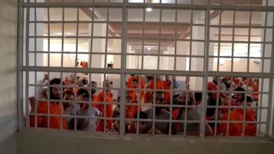 EB6E0C50 6676 4356 8586 F631B010440A