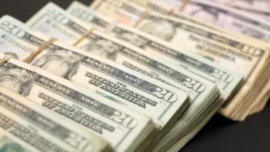 EBFFA0EB 8B2C 43F7 A9E7 533C2A4A6061