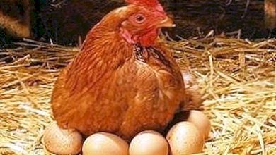 F33D5986 23E9 4249 BD3A 316B1623BC47