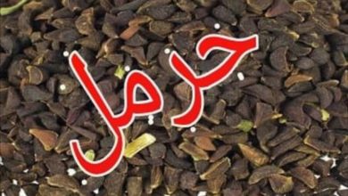 Screenshot ٢٠٢٠٠٣٢٣ ٢٠٢٧٢٤ 1