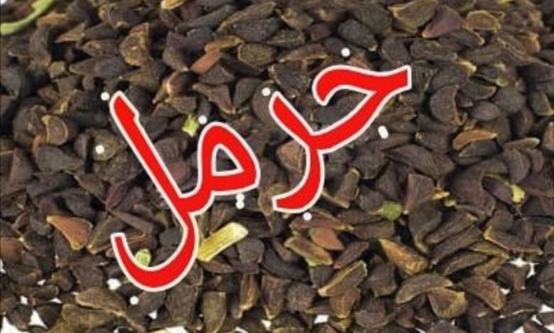 الحرمل و الكرونا 1 Screenshot ٢٠٢٠٠٣٢٣ ٢٠٢٧٢٤ 1