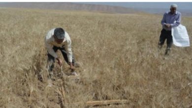 Screenshot ٢٠٢٠٠٣٢٦ ٢٠٥٥٠٢