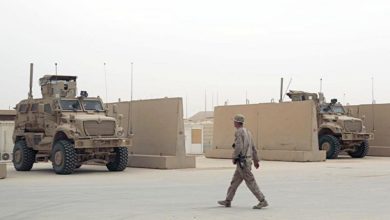 عين الاسد امريكا 1