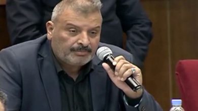 فاضل الفتلاوي 2