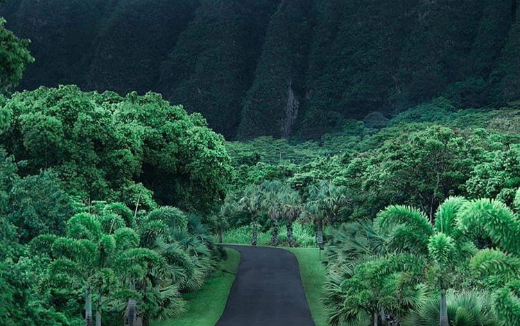 04BA6A99 BE26 4E8D A0B8 0D2C559318E8