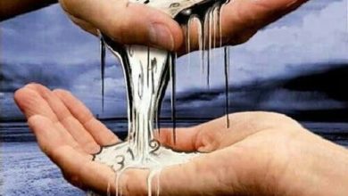 059F9B5B 9D67 4F6C 971F 0F8E647B0922