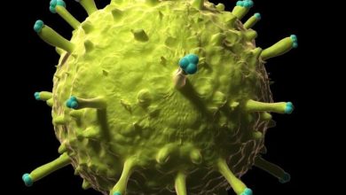 074C6936 DFC0 41A2 9982 35CC2DD5C6AE