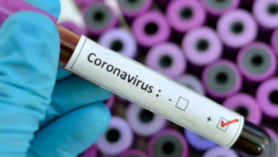 0E25C656 B6AC 44A5 9846 569AADC1D7B4