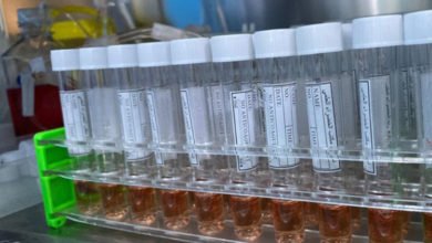 13D9870E 7487 42E0 8BD6 C5CCED6A7C13