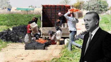 140 202017 turkish inflation affects local agricul products 700x400