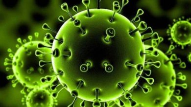 تركيا تسجل أدنى حصيلة إصابات بكورونا منذ 20 يوما 4 1537CE55 6C57 41E0 AFF5 7A03A33F2511