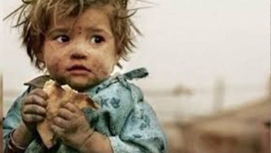 1D4E78C9 F177 41F9 8364 7701EC3EB087