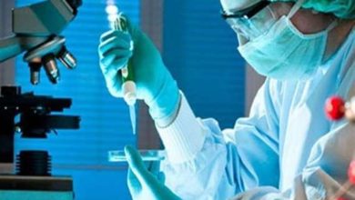 1FD9ECBB FEDF 4EF4 B6A4 38E20719EDFC