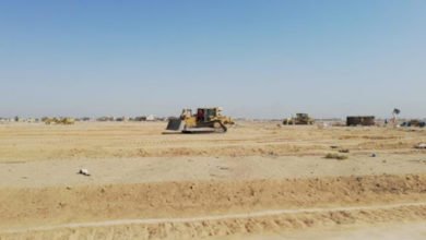 28E5D3B4 4C3B 41B7 B898 5CB9AA64C351