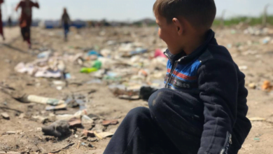 291847B8 8BBB 4EFD 9073 66CE7209CB41