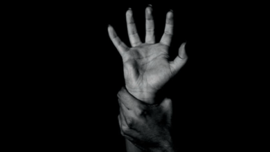 337616F6 9792 424B BE2D DF3ABB56E2E0