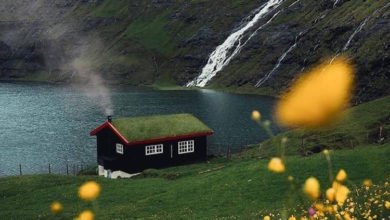 33E2D26D 6708 4889 A6C3 2608635F559B