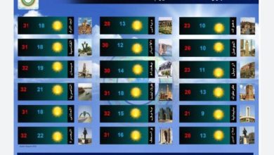 35441DA3 BB93 40B2 AD33 C40C6FF10FCA