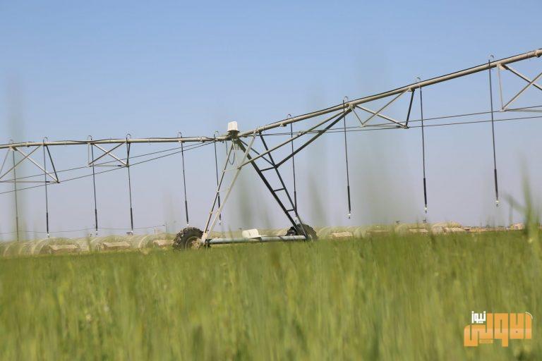 الزراعة تعلن انطلاق الحملة المجانية لمكافحة القوارض في بابل 1 354ED2B5 CFB2 44F6 B1A7 E84C112B1D79