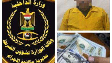 3570D833 D85B 4D52 BD3E F53468861C95