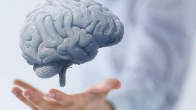 3A3366E6 AC9A 4ED0 B019 EBBAC41B0EB9